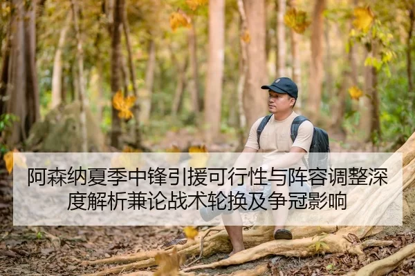阿森纳夏季中锋引援可行性与阵容调整深度解析兼论战术轮换及争冠影响