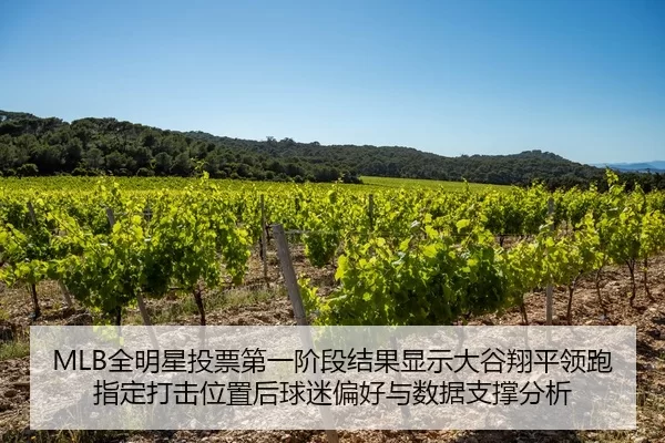 quan-ming-xing-tou-piao-di-yi-jie-duan-jie-guo-xian-shi-da-gu-xiang-ping-ling-pao-zhi-ding-da-ji-wei-zhi-hou-qiu-mi-2-399.jpg